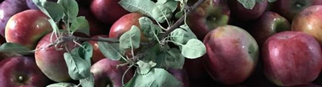 Gathering Winds Farm & Orchard, Poland ME