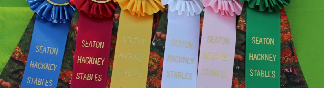 Seaton Hackney Stables, Morristown NJ