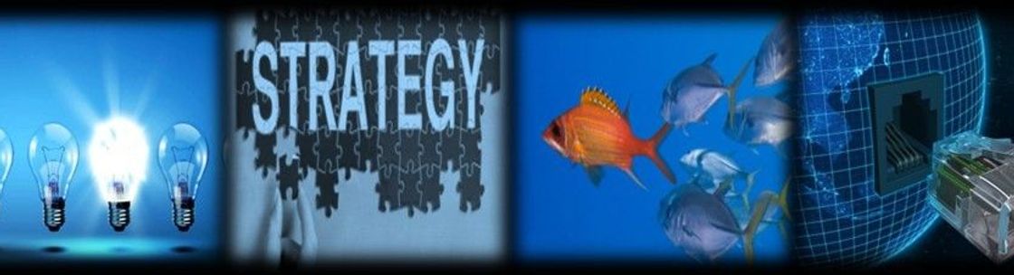 Consulting Leaders Group, Palm Coast FL