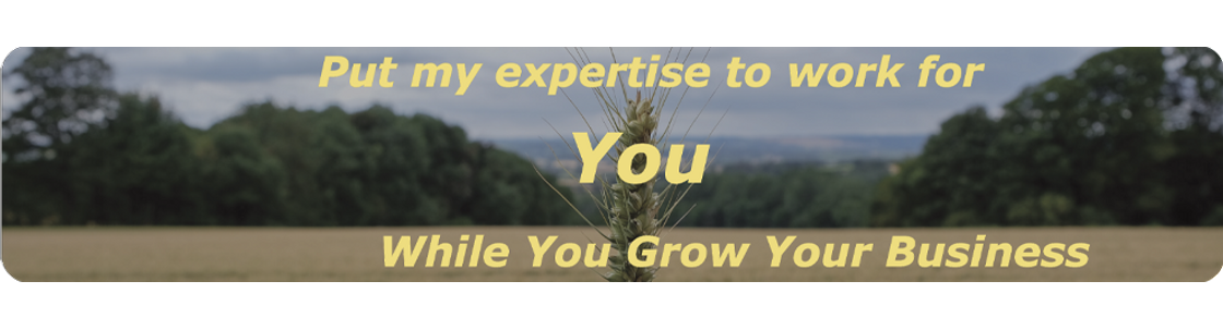 TMBarton Bookkeeping, LLC, Dayville CT