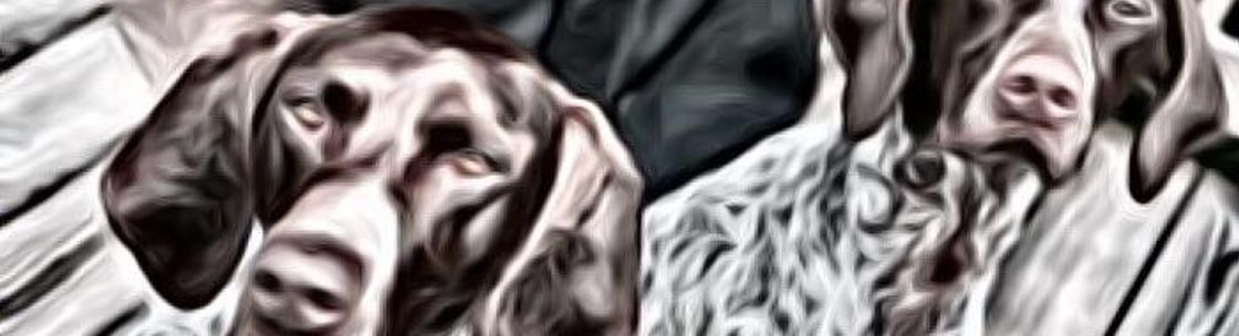 InvisiblePoint, Charlotte NC