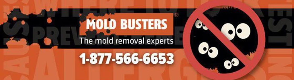 Mold Busters, Ottawa ON