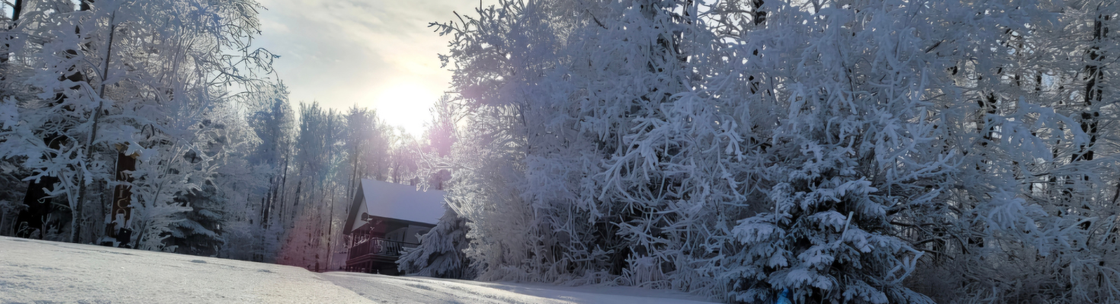 Simplifying Wellness One Home at a Time, Sexsmith AB
