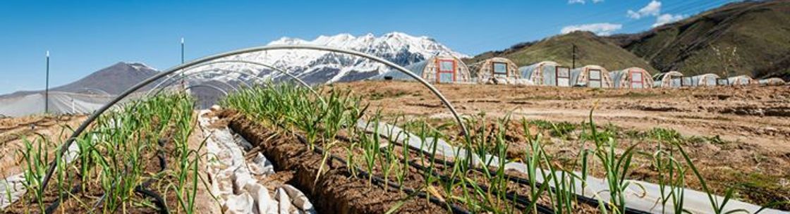 La Nay Ferme, Provo UT