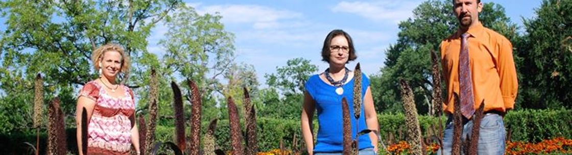 Mantis Counseling and Coaching Services, Denver CO