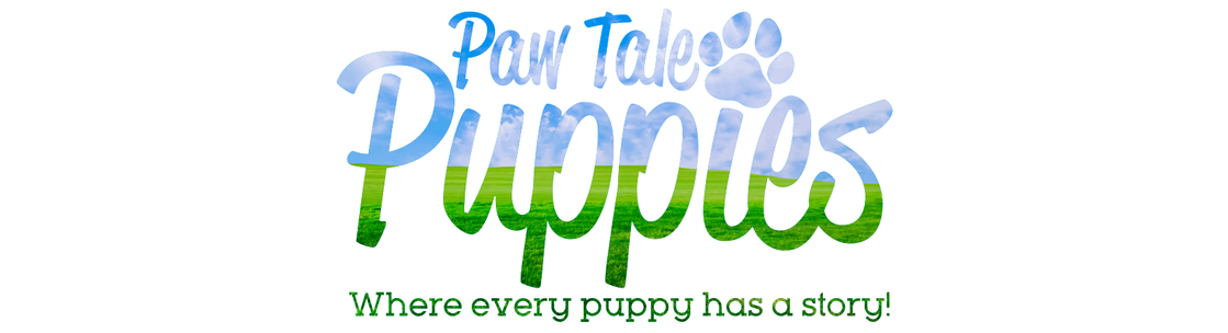 Paw Tale Puppies LLC, Dornsife PA