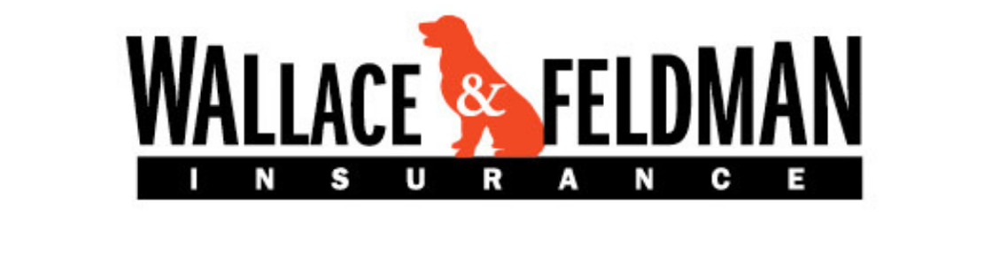 Wallace and Feldman Insurance, Kingston NY