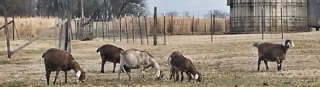 Udder Joy Farms, Madisonville TN