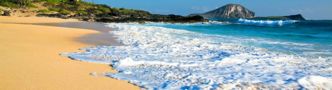 Justin Monk SEO, Spokane WA