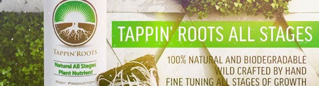 Dandelion Enterprises LLC  (Tappin'Roots), Santa Rosa CA