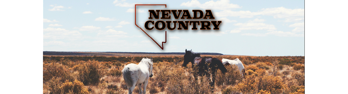 Nevada Country, Carson City NV