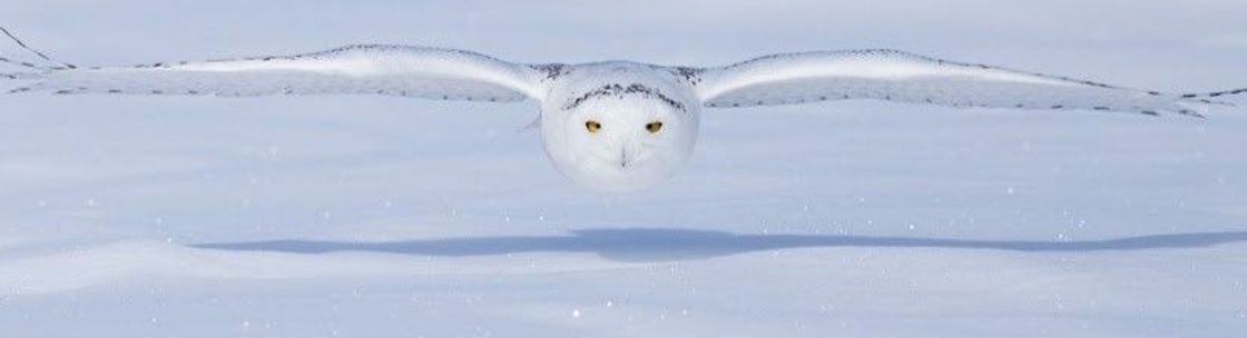 Real Relief Therapy, Highland Village TX