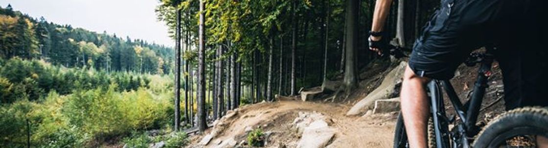 Marda Loop Physiotherapy - Calgary, AB - Alignable