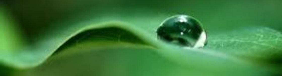Changes at Hand massage therapy, Justice of the Peace, and Doula, Willimantic CT
