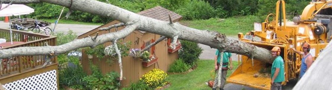 Knowles Tree Service, Inc., North Hampton NH