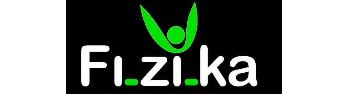 Fizika Group, LLC, Lancaster PA