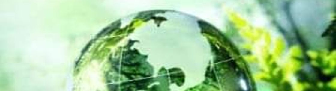 The Wellness Company, Orlando FL