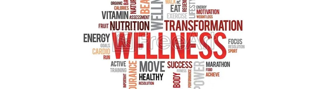The Wellness Company, Rego Park NY