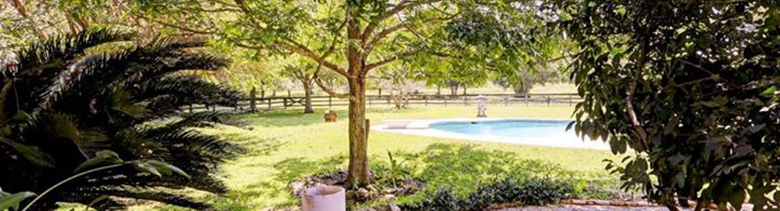 Martha Turner Sotheby's International Realty, Memorial, Houston TX