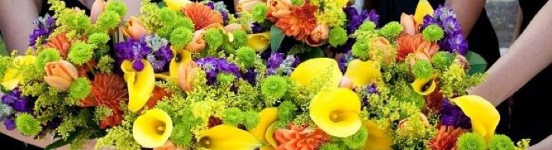 Creative Petal Designs, Dripping Springs TX