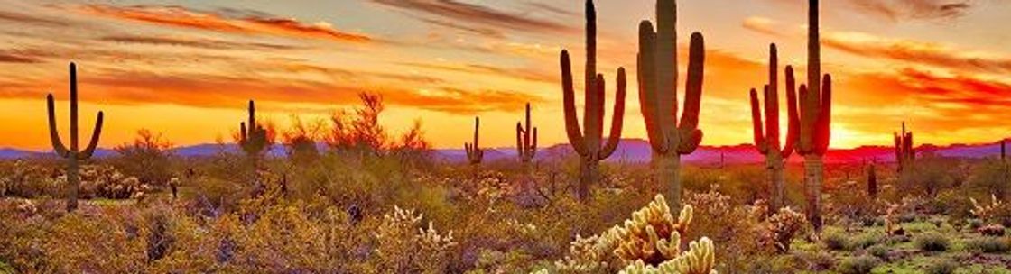 Oro Valley Real Estate, Oro Valley AZ