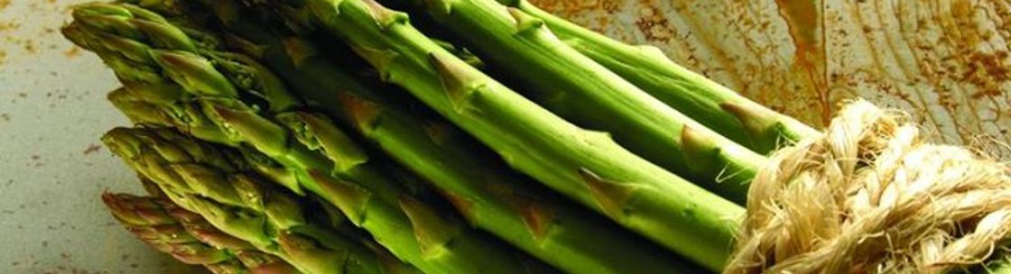 Real Food Market & Deli, Helena MT