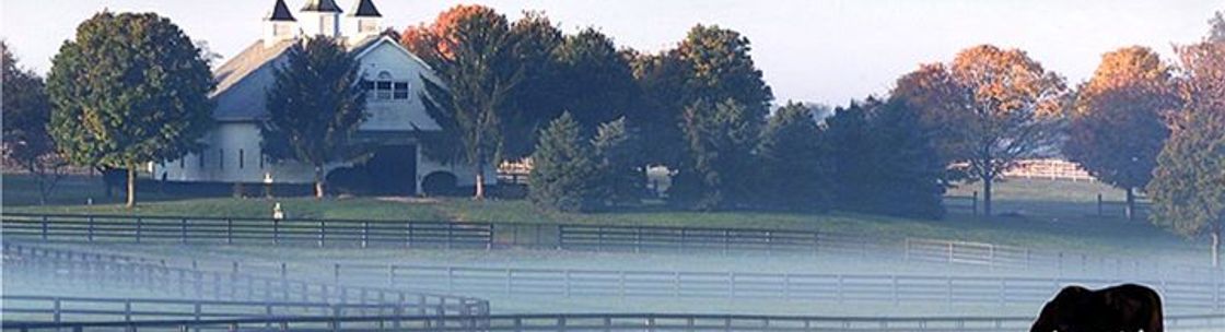Welch & Company, CPAs, PSC, Georgetown KY