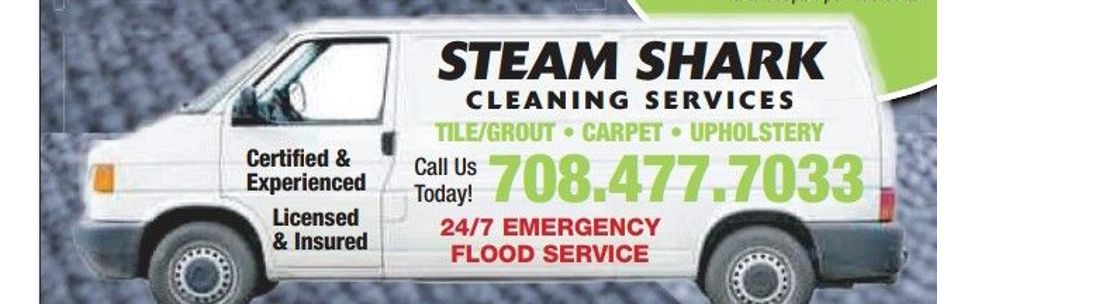 STEAM SHARK CLEANING SERVICES - Illinois , Wilmington IL