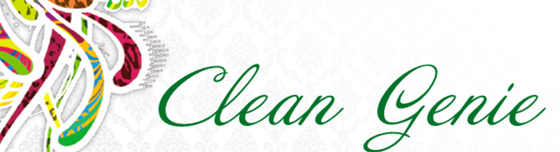 Clean Genie LLC, Waterbury VT