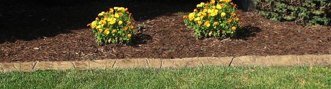 Curb Appeal of Michigan, Rockford MI