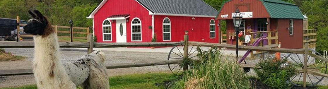 Infinity Acres Ranch, Ridgeway VA