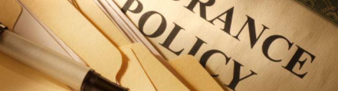 Sonja Ziemann Insurance Agency, Northfield MN