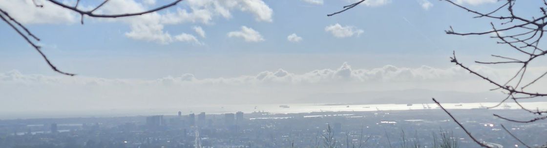 Beechwood Pacific Property Management, San Francisco CA