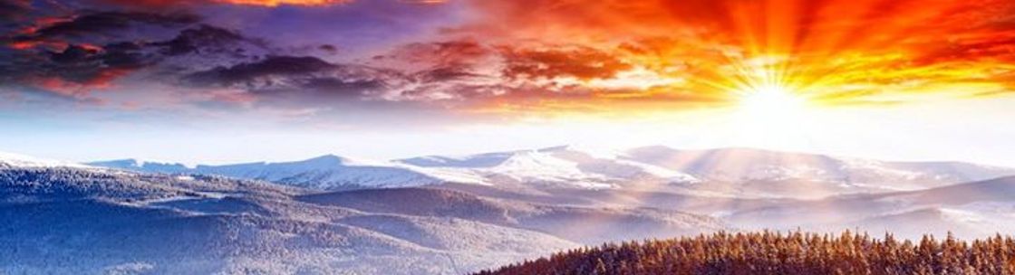 Tyler Hypnotherapy, Reiki For All Beings, Tyler TX