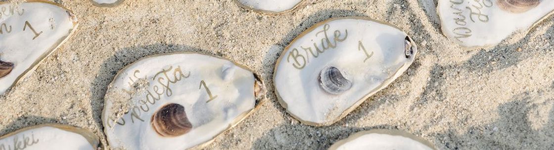 Sadie Bean Designs, Brightwaters NY