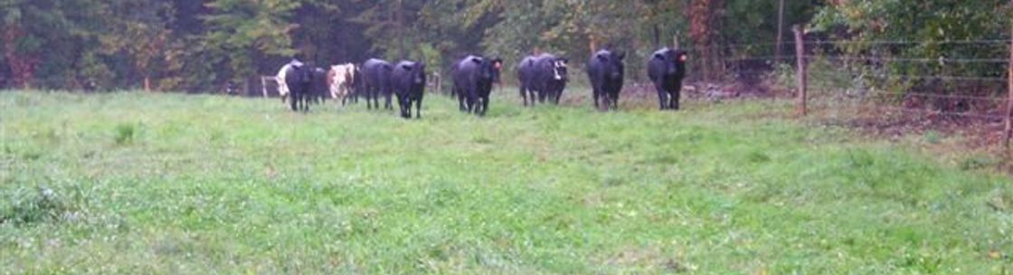 Millgate Farm, Jefferson OH