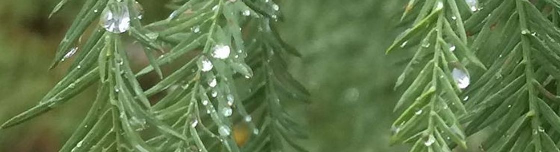 Connect, Bloomington IN