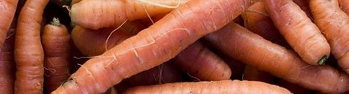 Better Gut Better Health, LLC, Durham NH