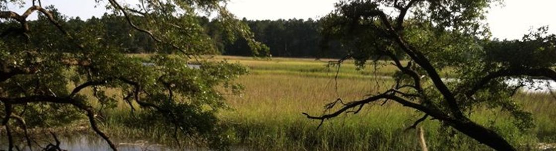 Fred G Mills CPA LLC, Townsend GA