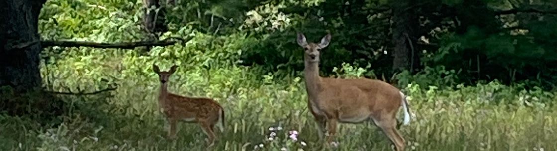 Nature Relations LLC, Inver Grove Heights MN