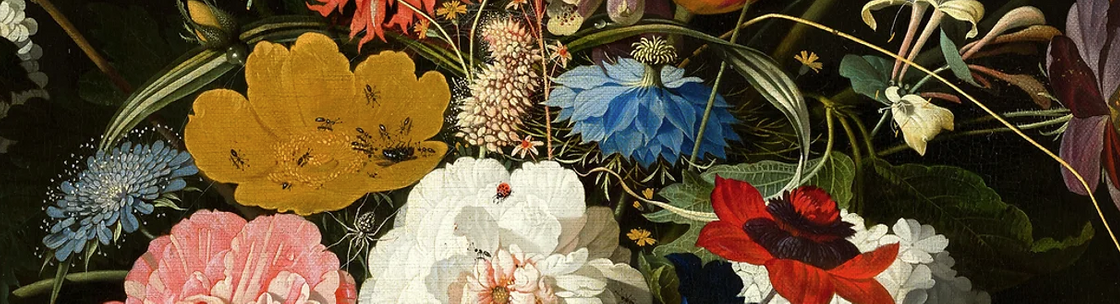 Prosper Therapy Co., PLLC (Texas), Frisco TX