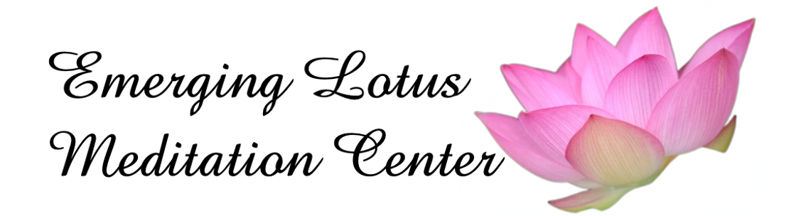 Lotus on sale meditation center