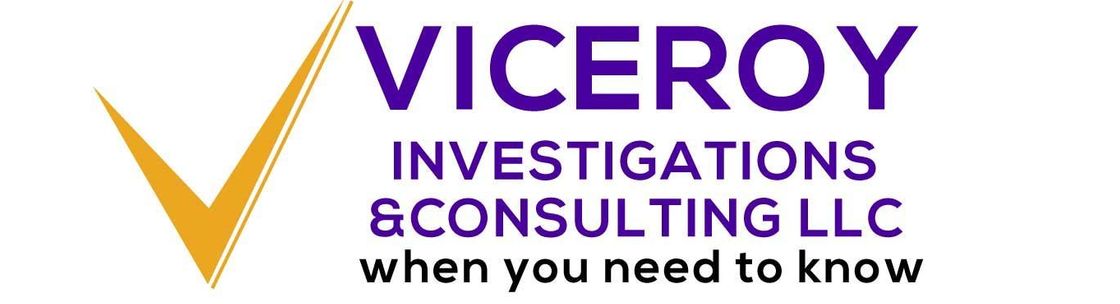 Viceroy Investigations & Consulting LLC, NORTH MASSAPEQUA NY