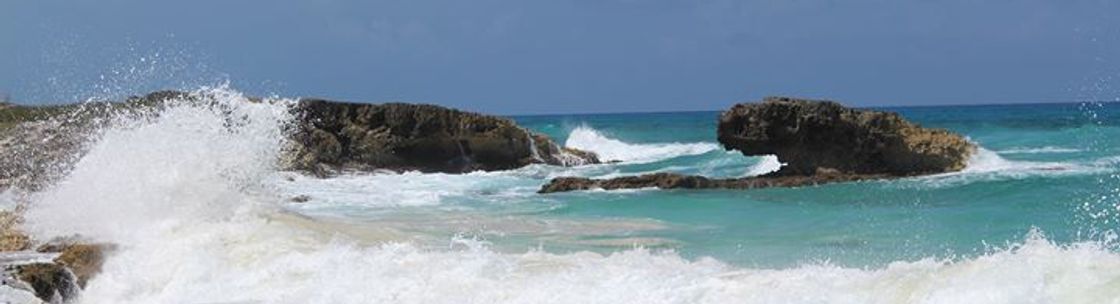 Above the Waves Grief Support, LLC, Greenwood IN