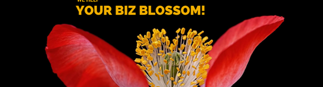 Your Biz Social, Haymarket VA