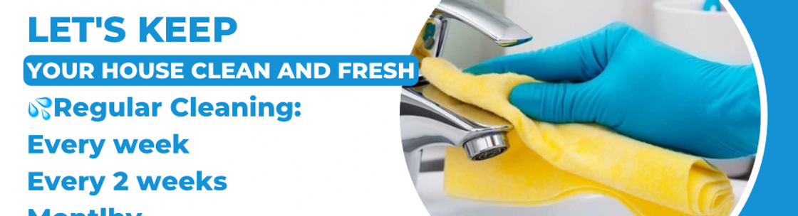 Goncalves Cleaning Pro, Tampa FL