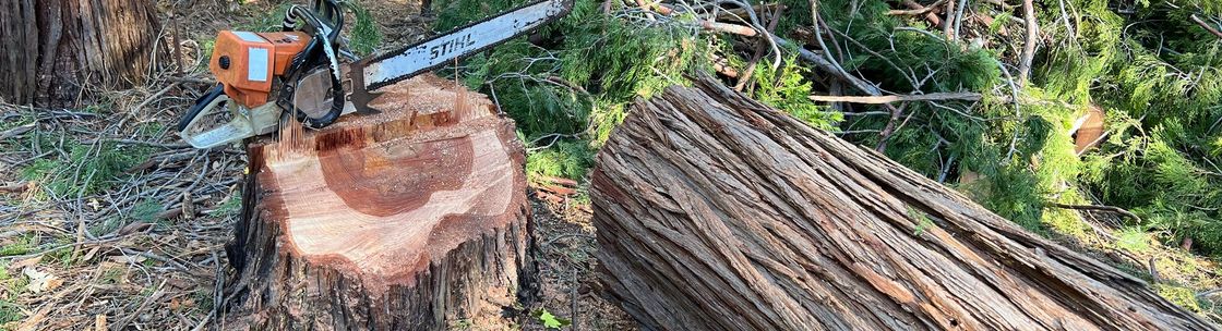 JD Dirtworks LLC, Camptonville CA