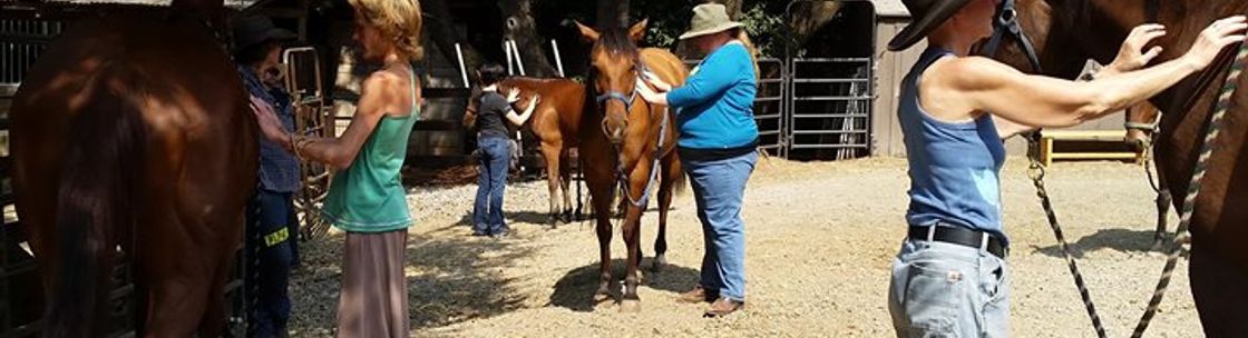 Heart and Mind Equine, Woodacre CA