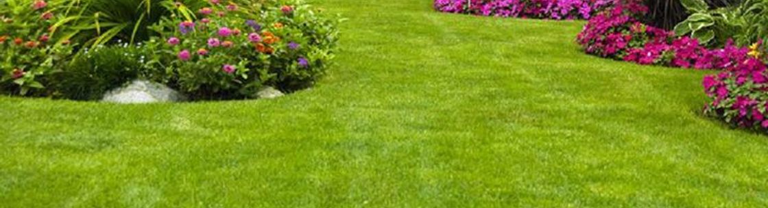 landscaping valdosta ga