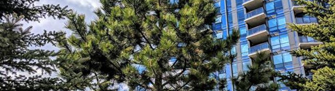 Adair Tree Care Ltd., Calgary AB